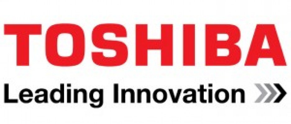 assistenza tecnica manutenzione Toshiba